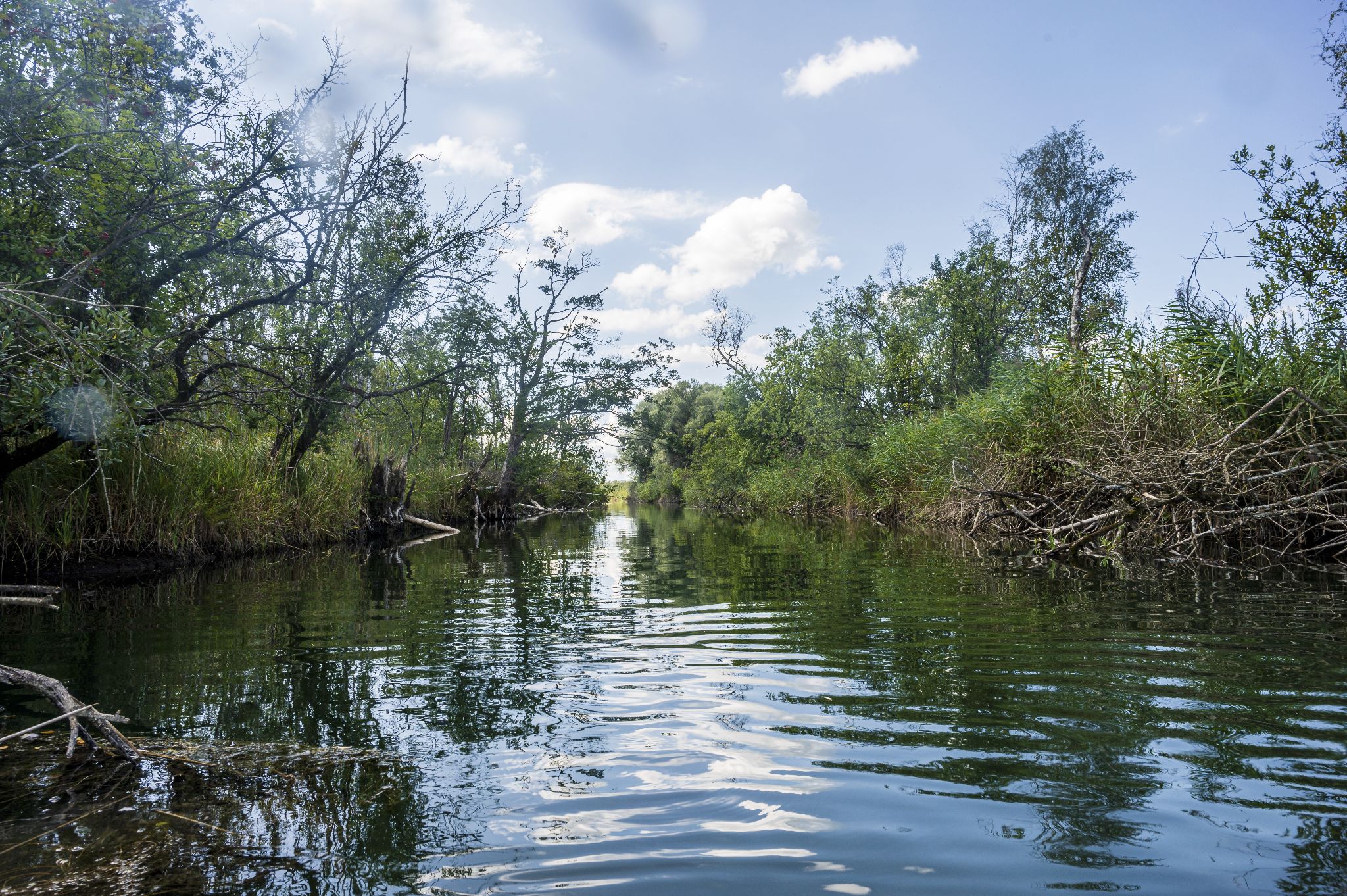 Kajaktour Leutstettner Moos 21.08.2022